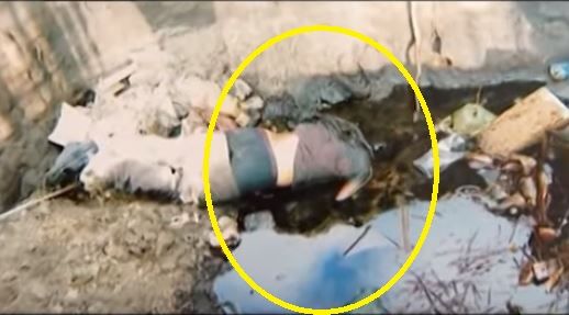 Bakıda ŞOK! Azyaşlı oğlan qadını zorlamaq istərkən öldürüldü (18+VİDEO)