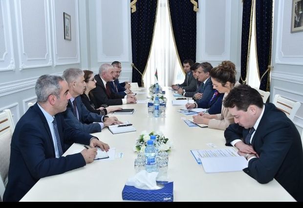 Делегацию Тюркского совета проинформировали о предстоящих выборах в Милли Меджлис