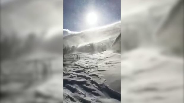 Lerik ağ örpəyə büründü - VİDEO