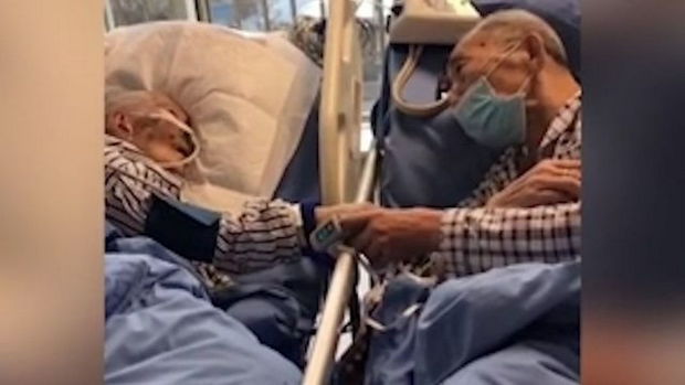 Yaşlı cütlüyün ölümqabağı vidalaşma anı - VİDEO