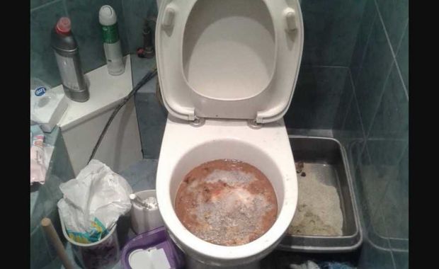 Meksikalı həyat yoldaşını parçalara ayırıb unitaza atdı