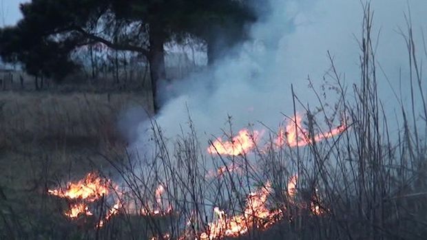 В Евлахе произошел пожар на кладбище – ВИДЕО