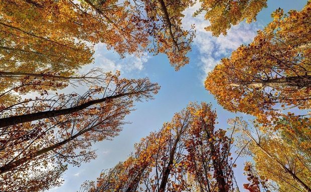 13 dərəcə isti olacaq