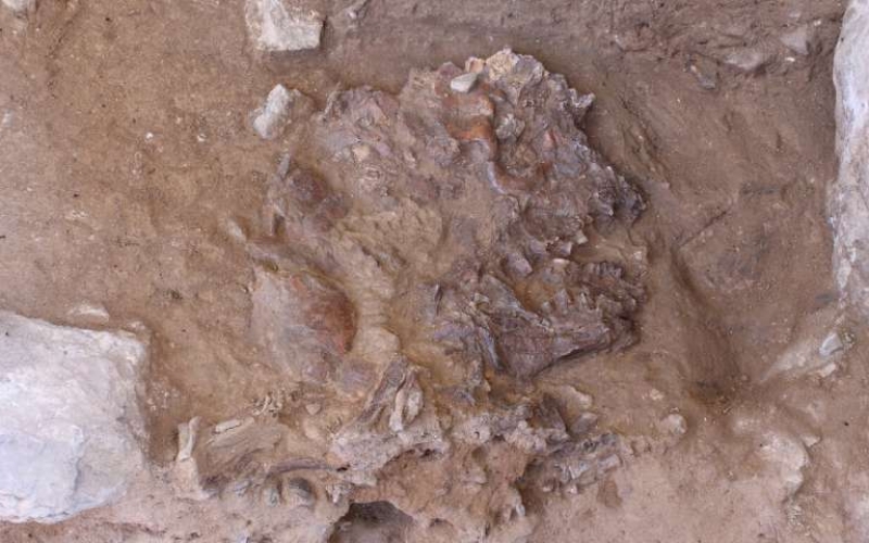 Qədim insanlar arasında dəfn ayinlərinin sirri açılıb