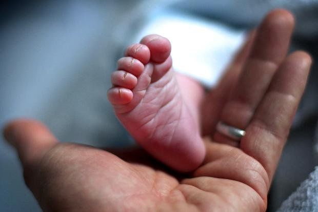 Sumqayıtda zibil qabından yeni doğulmuş körpənin meyiti tapıldı - VİDEO