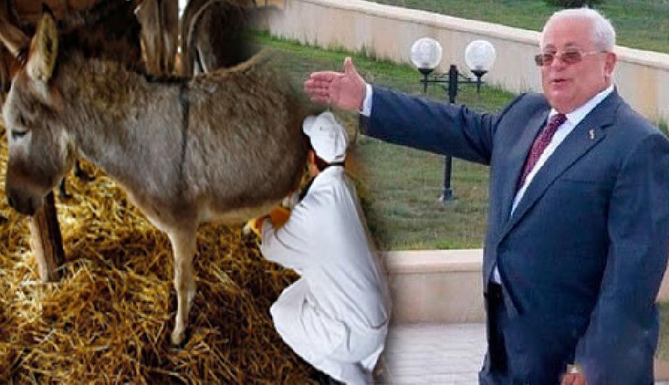 Həbs olunan icra başçısı eşşək südü biznesi ilə də məşğul olub – ŞOK biznes siyahısı