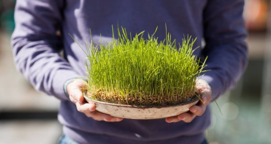 Сегодня в Азербайджане отмечается «Су чершенбеси»