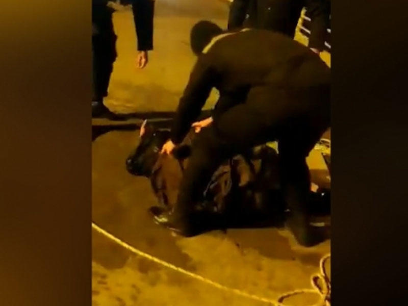 Bulvarda sevgililərin intihar görüntüsü yayıldı - VİDEO