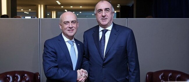 Gürcüstan və Azərbaycanın XİN başçıları koronavirusu müzakirə etdi