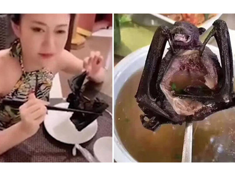 Çin haqqında TÜKÜRPƏDƏN FAKTLAR: İtlərlə iyrənc münasibət, virus, natəmizlik... - ŞOK GÖRÜNTÜLƏR