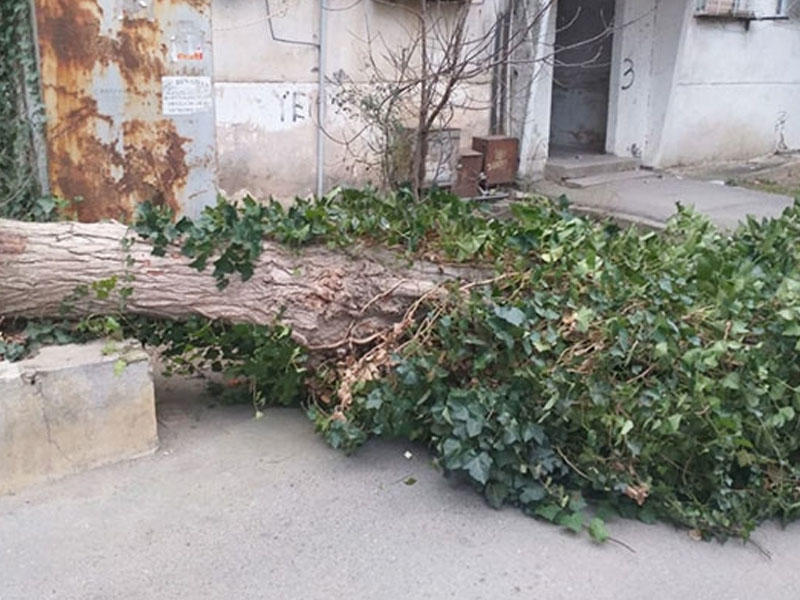 İcra Hakimiyyəti əhaliyə xəbərdarlıq etdi - FOTO