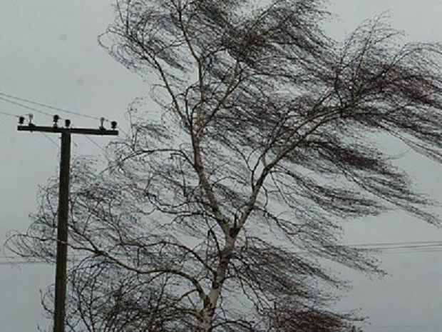 В Баку две женщины пострадали из-за сильного ветра