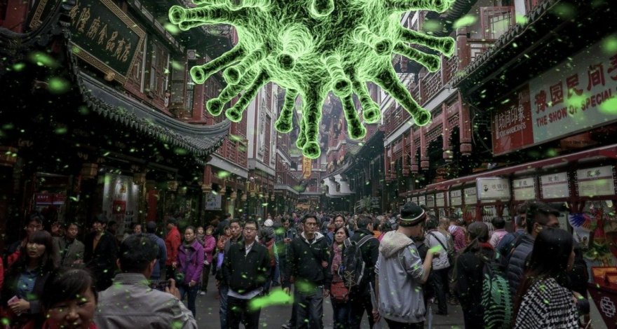 Минобразования: Учащихся по госпрограмме в Южной Корее, Италии, Иране и Японии на сегодняшний день нет