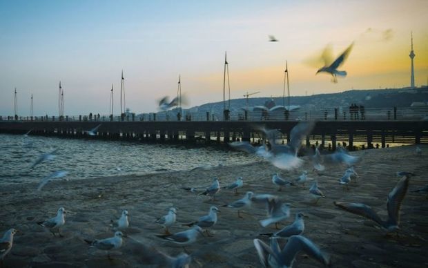 Завтра в Азербайджане сохранится туманная погода