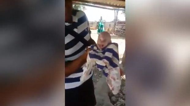 İnsan sifətli donuz balası görənləri dəhşətə gətirdi – VİDEO