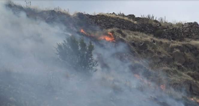 Zaqatalada dağda yanğın başlayıb - YENİLƏNİB