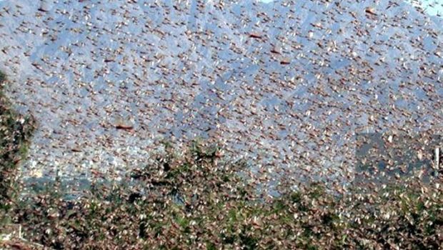 Türkiyəyə yaxınlaşan təhlükə koronavirusdan təhlükəlidir
