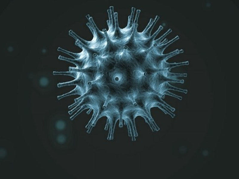 Koronavirusdan qorunmaq üçün sabun ilə qatıq yedi, zəhərləndi - FOTO