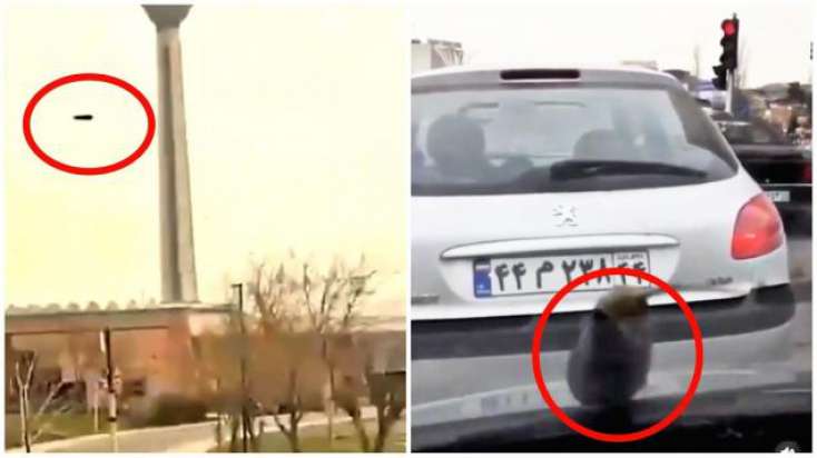 İranda qəribə hadisə: Göydən badımcan yağdı - Görüntülər