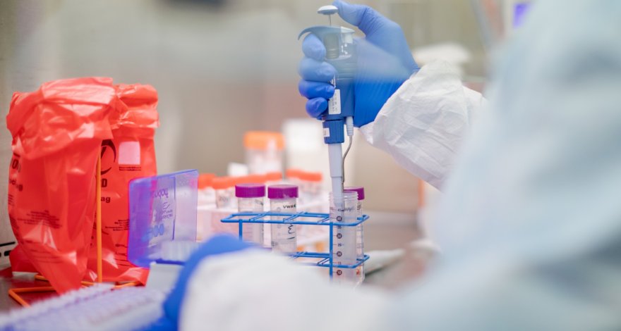 В Таиланде разработали экспресс-тест, определяющий коронавирус за полчаса