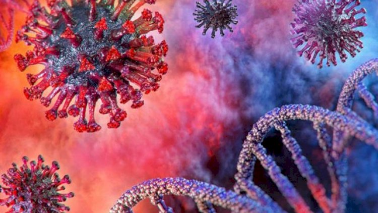 Bu qan qrupu olanlar koronavirusa daha tez yoluxur