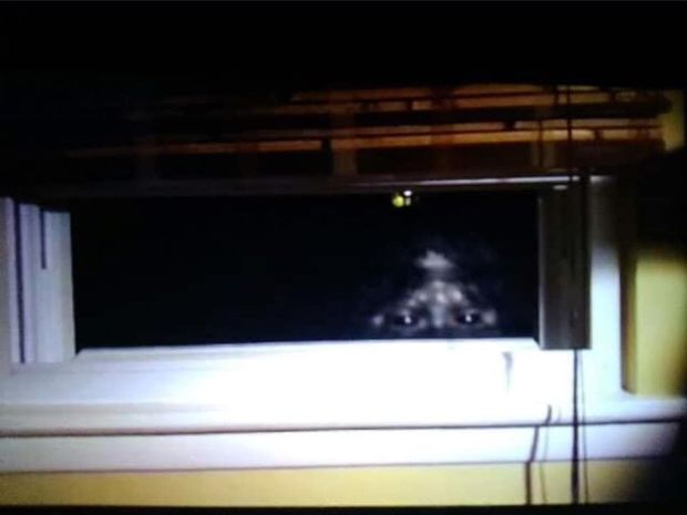 ABŞ-da “qar adamını” yaxın məsafədən lentə aldılar – FOTO