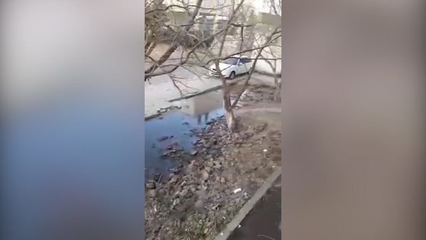 Sumqayıt sakini: “Üfunət iyindən pəncərəni açıb hava ala bilmirik” - YENİLƏNİB + VİDEO