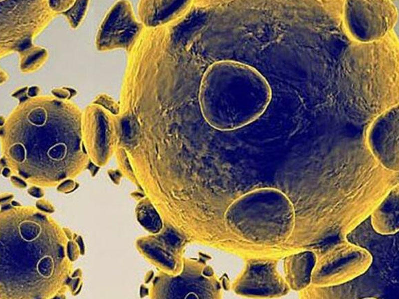 Koronavirusu sürətlə yayan vasitə BƏLLİ OLDU