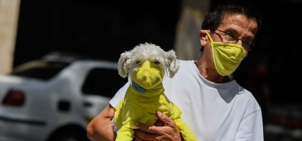 COVID-19 heyvanlar arasında da yayılmağa başlayıb