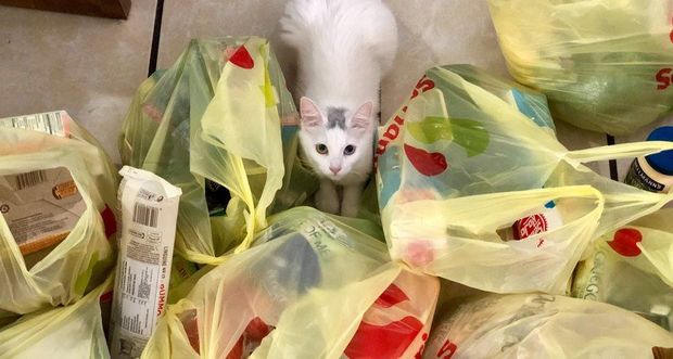 Пандемия увеличила спрос на пластик