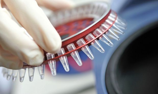 TƏBİB предупреждает: Каждый инфицированный COVID-19 может заразить до 60 человек