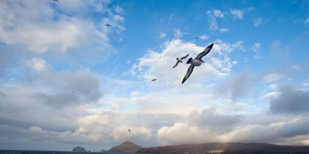 Завтра в Азербайджане местами ожидается туман