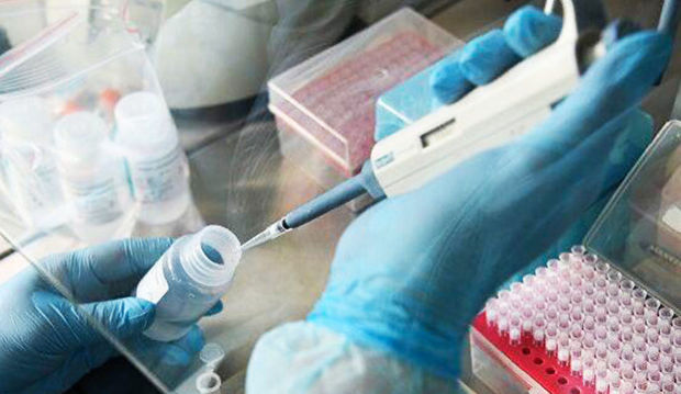 Число инфицированных COVID-19 в Беларуси выросло до 1 486