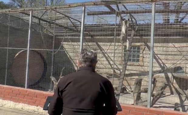 Zooparkın müdiri heyvanlara konsert verdi – VİDEO