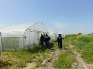 Şəmkirdə yüz minlərlə manat qaz pulu borcunu ödəmək istəməyən sahibkar koronavirusa 