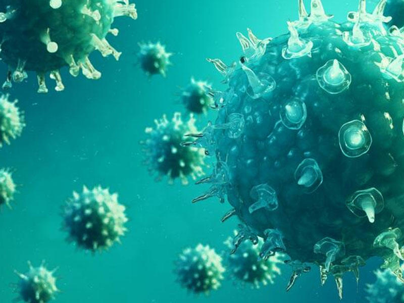 Koronavirusu blok edən yeni virus yaradıldı - Peyvəndin tapılması an məsələsidir