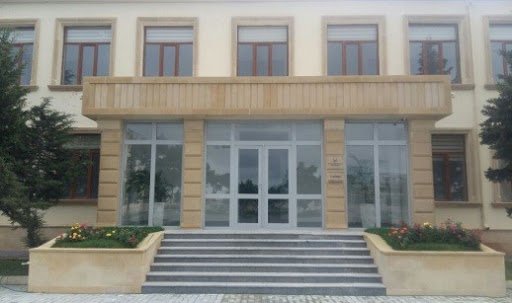 Gülnarə Abdullayeva internatda uşaqlara sudan başqa nə verir?