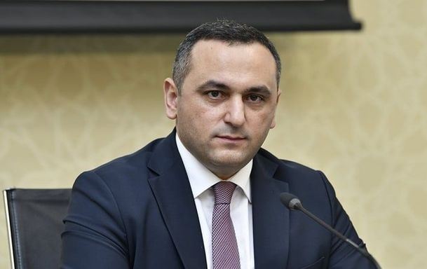 TƏBİB sədrindən koronavirusdan sağalma ilə bağlı AÇIQLAMA