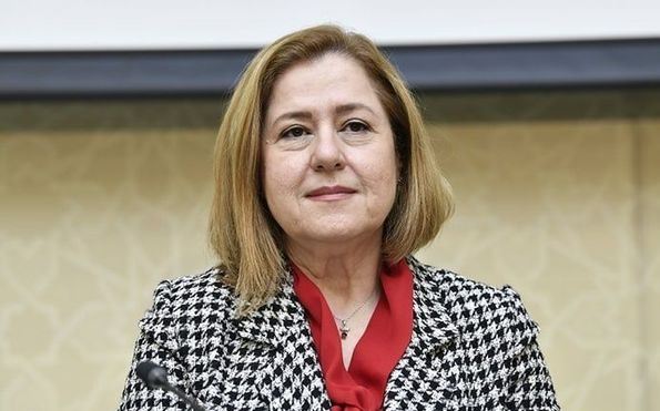 Ümumdünya Səhiyyə Təşkilatı rəsmisindən Azərbaycana həkimlərin gətirilməsi ilə bağlı AÇIQLAMA