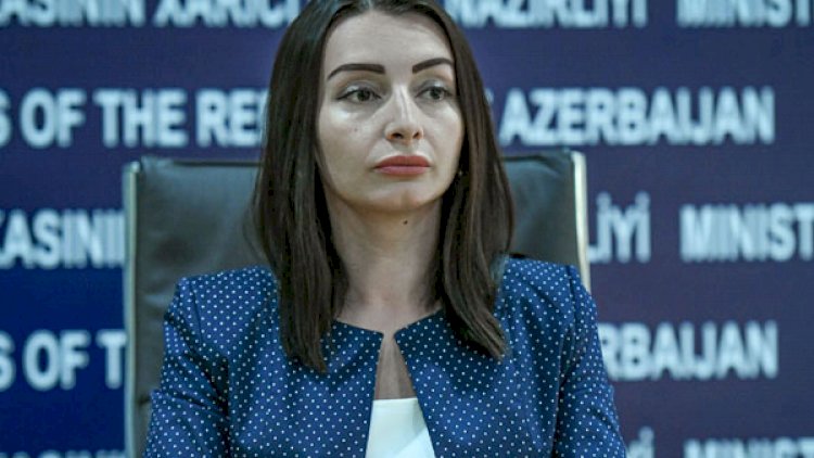 “Altmışa yaxın ölkədə yaşayan azərbaycanlılar geri qayıtmaq istəyirlər” – XİN sözçüsü