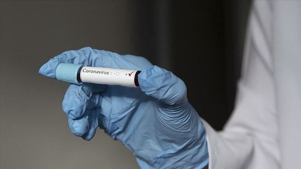 На Мадагаскаре представят растительный лекарственный препарат от СOVID-19