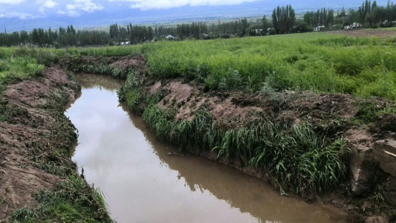 Məmurların Azərbaycan kəndlisinə yaratdığı problem: 