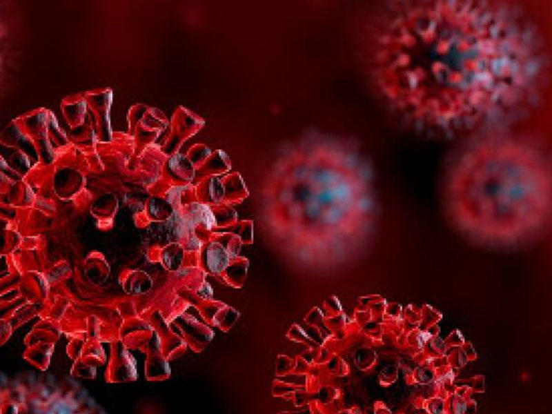 Professor koronavirus haqqında bəzi faktları açdı: 