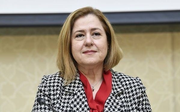 Ümumdünya Səhiyyə Təşkilatı Azərbaycanda koronavirusla bağlı son vəziyyəti açıqlayır - CANLI YAYIM