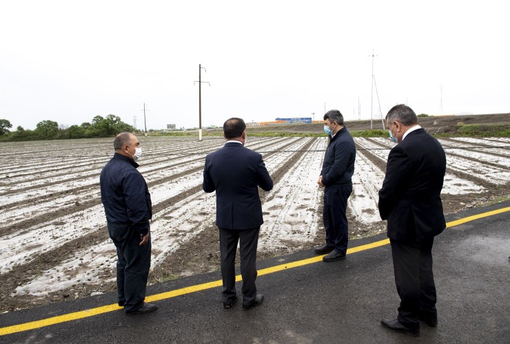Kənd Təsərrüfatı naziri İnam Kərimov Bərdə və Tərtərdə əkin sahələrinə baxış keçirib