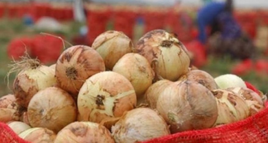 Азербайджан экспортирует лук в арабские страны