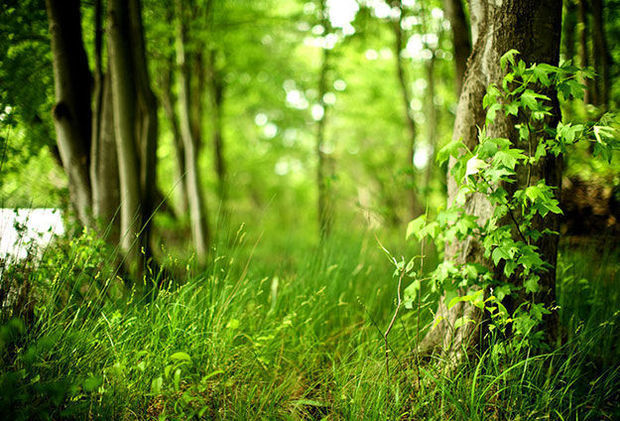 Завтра в Азербайджане сохранится умеренная погода
