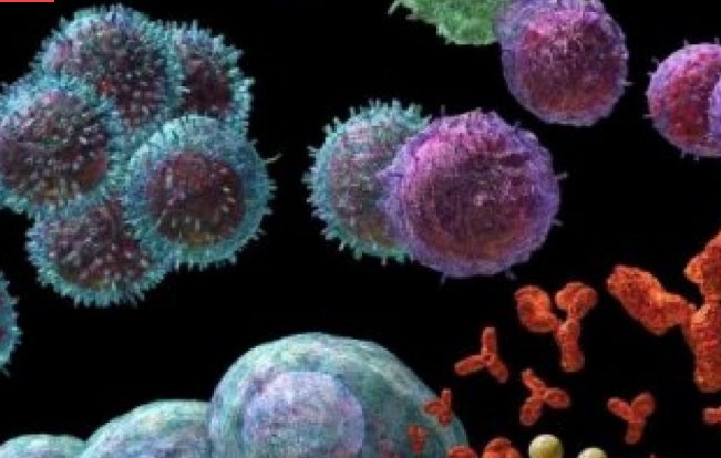 Diqqət! 4 gündən sonra koronavirus tamamilə YOX OLACAQ