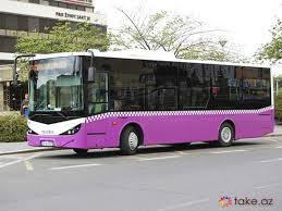 Azərbaycanda qadın avtobusda soyunub görün nə etdi... - FOTO