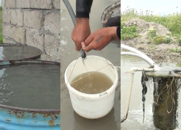 Kənd sakinləri məcburən təsərrüfat suyundan məişətdə istifadə edirlər - VİDEO